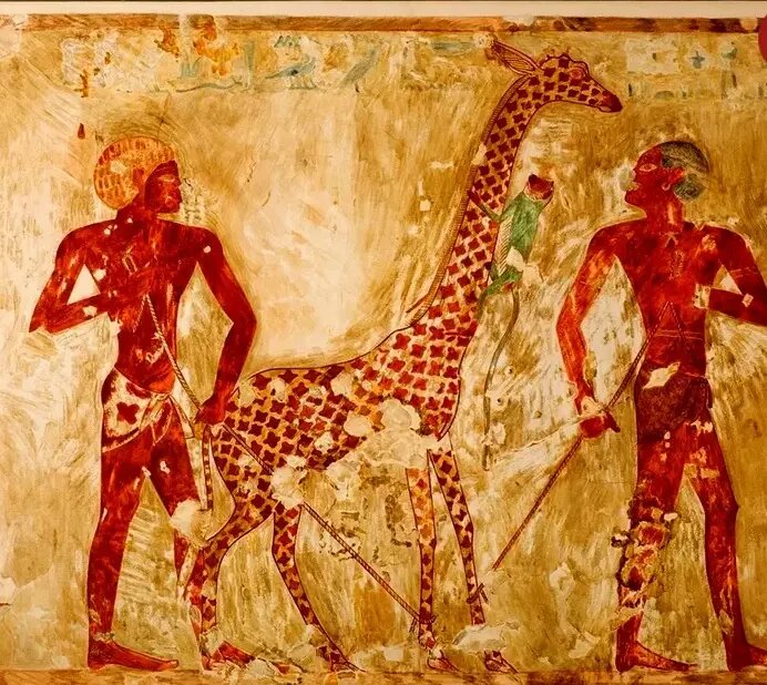 حیات وحش آفریقا در این مقبرۀ ۳۵۰۰ ساله به تصویر کشیده شده است | عکس