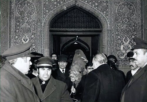 عکس شتری که به حرم امام رضا(ع) پناه برد؛ ماجرا چه بود؟