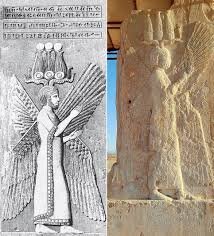 ماجرای گنجی در تاریکی تونلها | کشفی جنجالی منسوب به کوروش کبیر