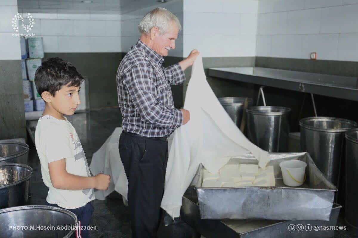 دیار پنیرهای پرآوازه | روایت روستای لیقوان که با تولید پنیر شهرت جهانی به‌دست آورده است