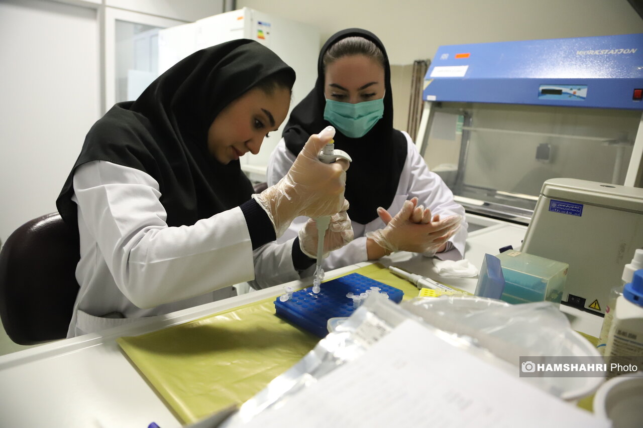 «پیوند مدفوع» جان ۳۵ بیمار را نجات داد