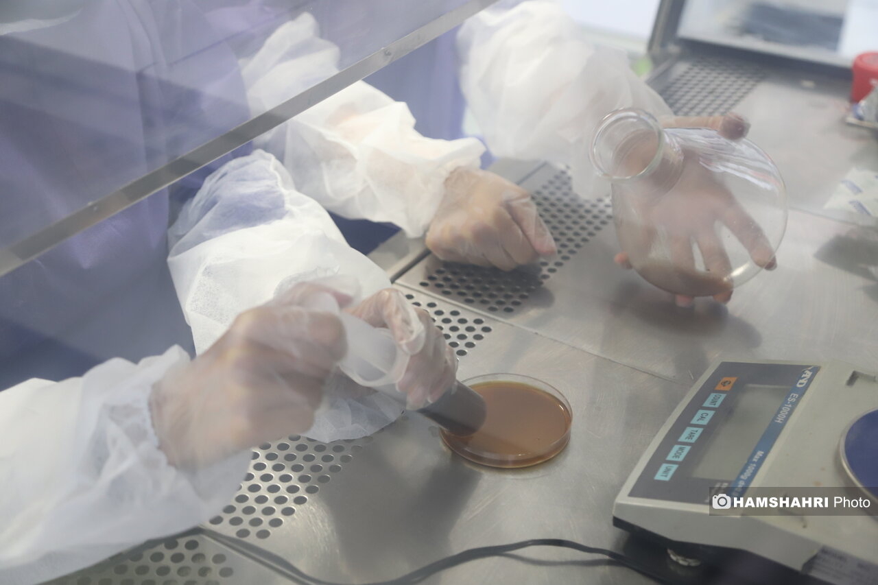 «پیوند مدفوع» جان ۳۵ بیمار را نجات داد