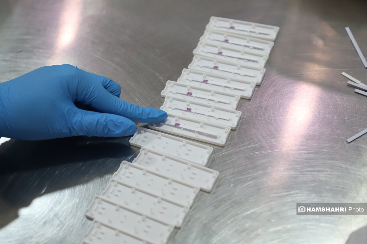 5287865.jpg?ts=1765737942000