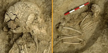 فرو رفتن دندان شیر در جمجمه یک نوجوان + عکس | اسکلت ۶ هزار سال قبل را ببینید