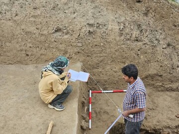 کشف دانه برنج ۳ هزار ساله در آمل + فیلم