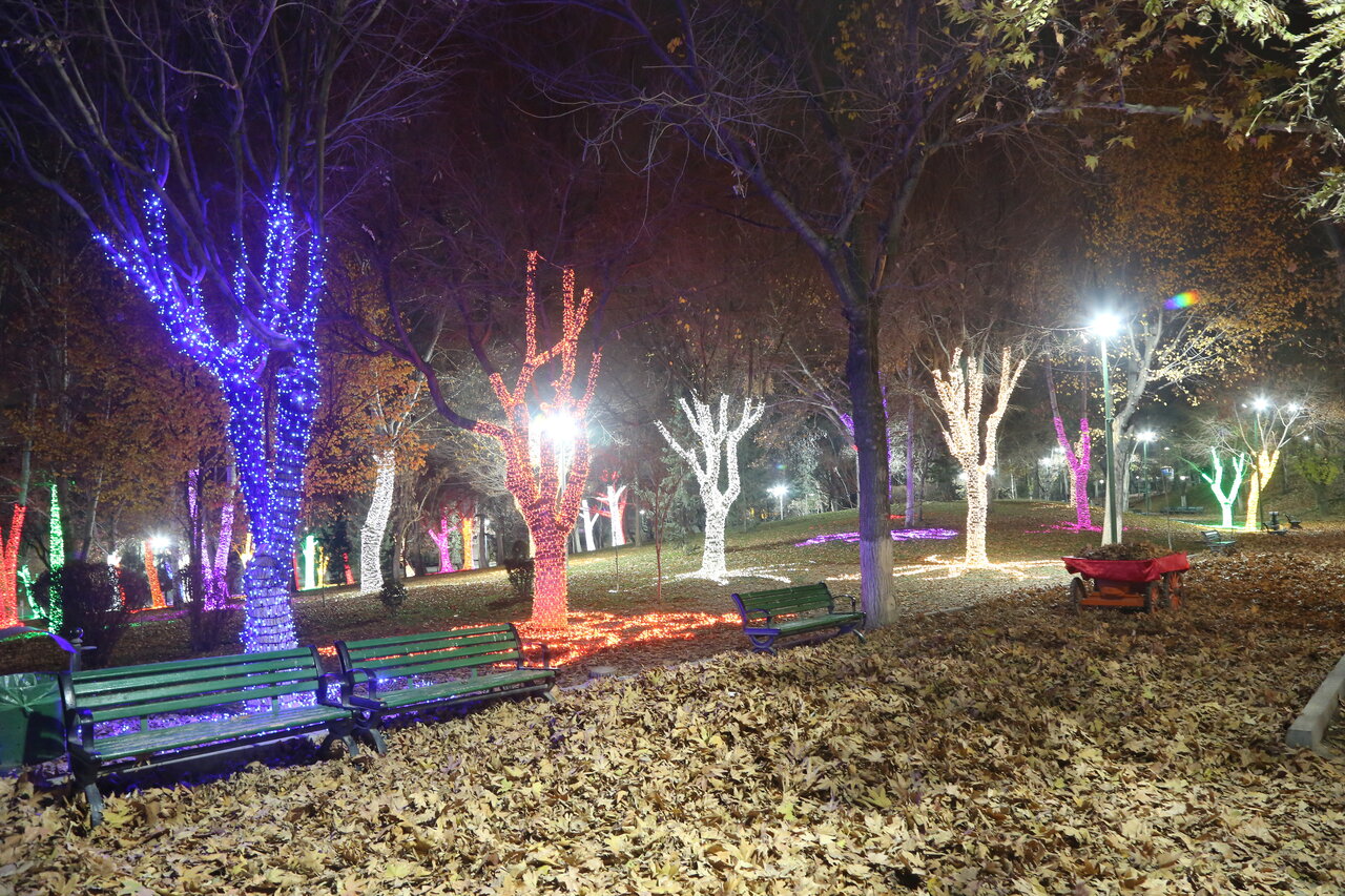 قدم زدن در باغ نورانی پایتخت