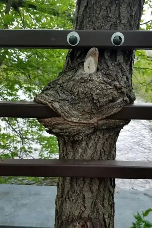 آثار هنری بامزه در خیابان‌های جهان؛ از گدایی مرد نامرئی تا پارکینگ تمساح | عکس