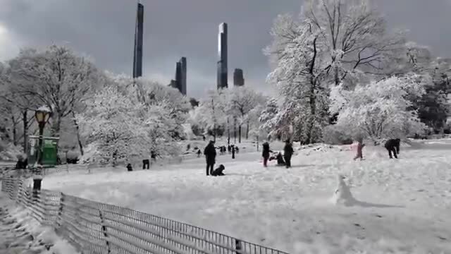 طوفان برفی و صحنه ای از پارک مرکزی نیویورک + ویدئو