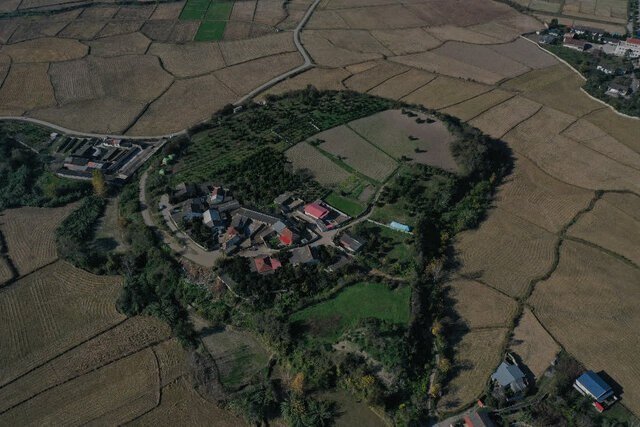 کشف دانه برنج ۳ هزار ساله در آمل + فیلم