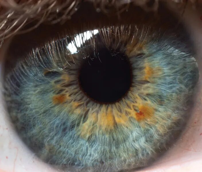 PUPIL