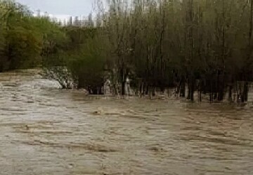 باران رودخانه تاریخی سیراف را پر آب کرد؛ صدای زندگی را از قلب این بندر کهن بشنوید