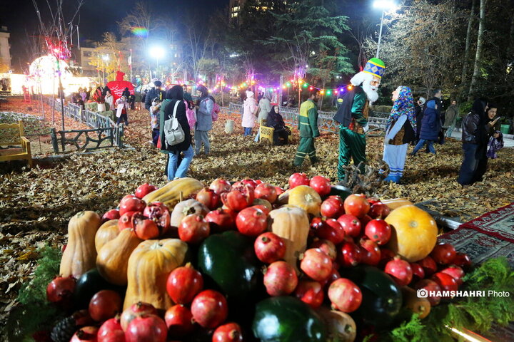 افتتاح پروژه های نورپردازی و شب یلدا در بوستان ملت
