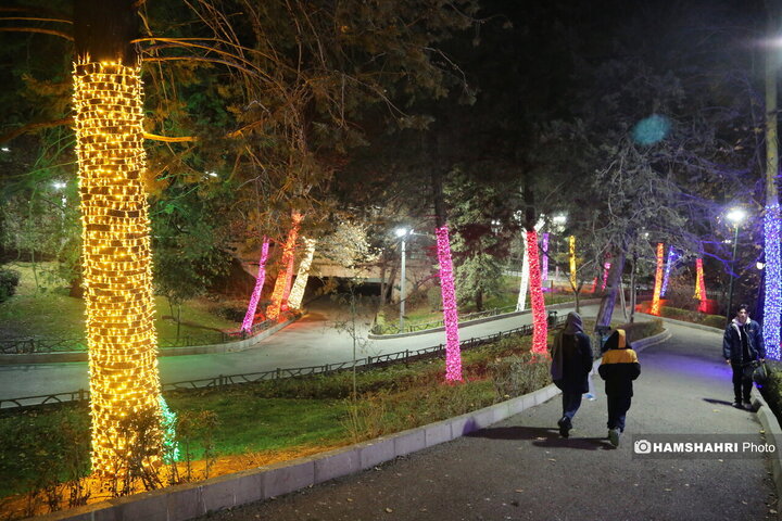 افتتاح پروژه های نورپردازی و شب یلدا در بوستان ملت