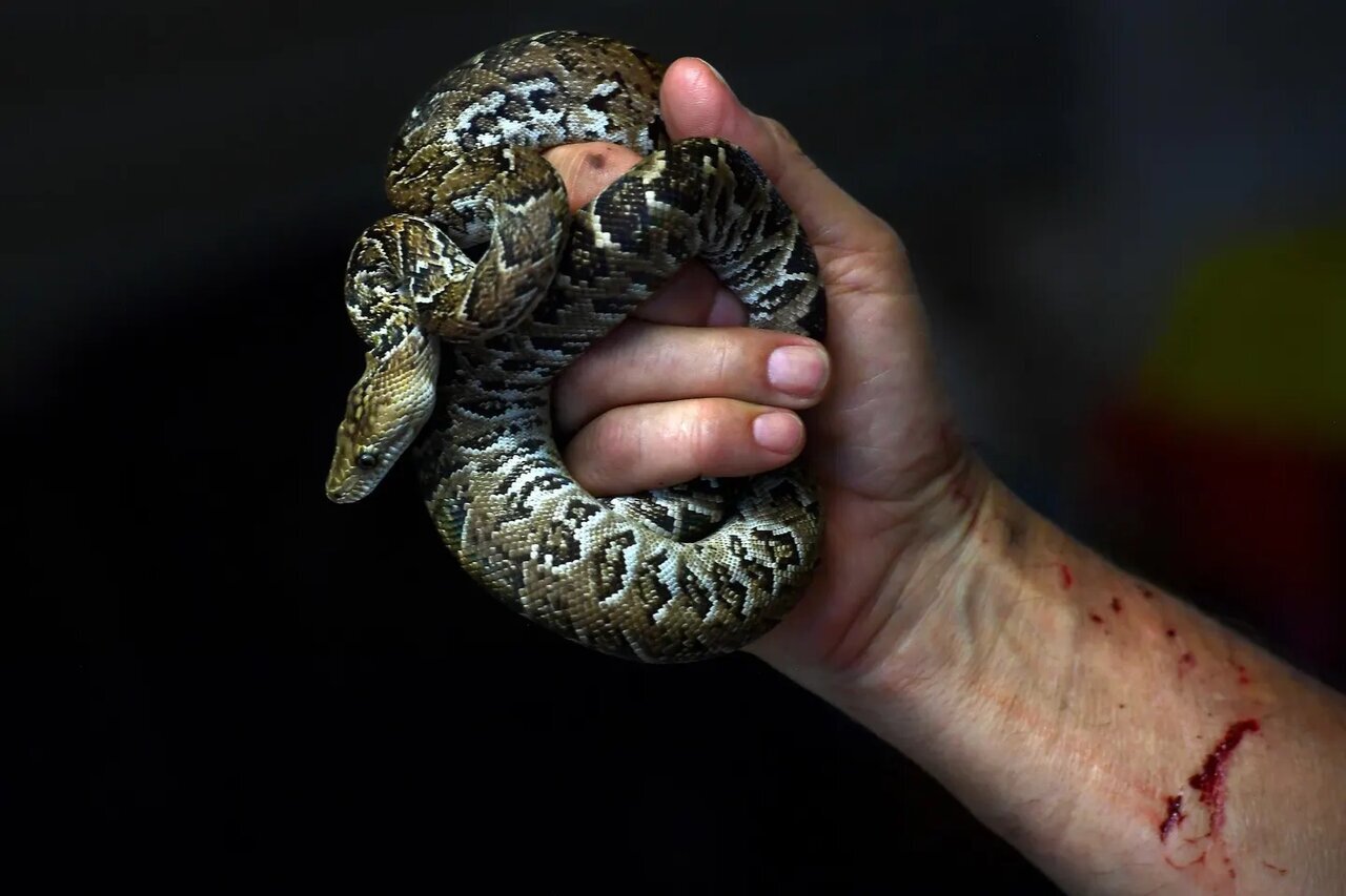 5288812.jpg?ts=1765872147000