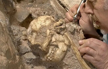 خویشاوند ۳ میلیون سالۀ انسان از دل سنگ بیرون آمد | عکس