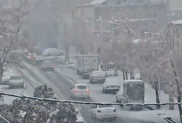 تصاویر بارش شدید برف در این شهر همه را خوشحال کرد؛ مدت‌ها بود مردم چنین برفی را ندیده بودند