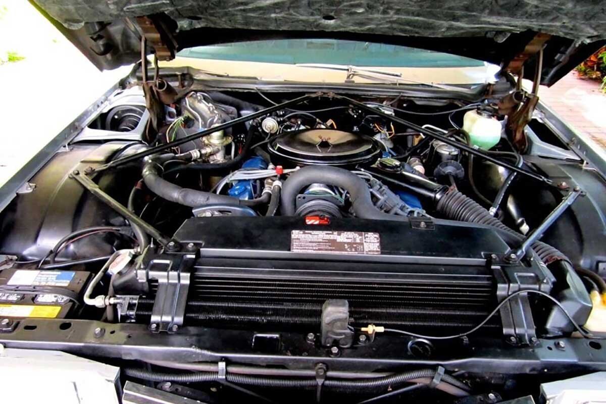 تصاویر کشیدهترین خودرو جهان با ۶٫۵ متر طول! | داخل کابین هیولای آمریکایی را ببینید