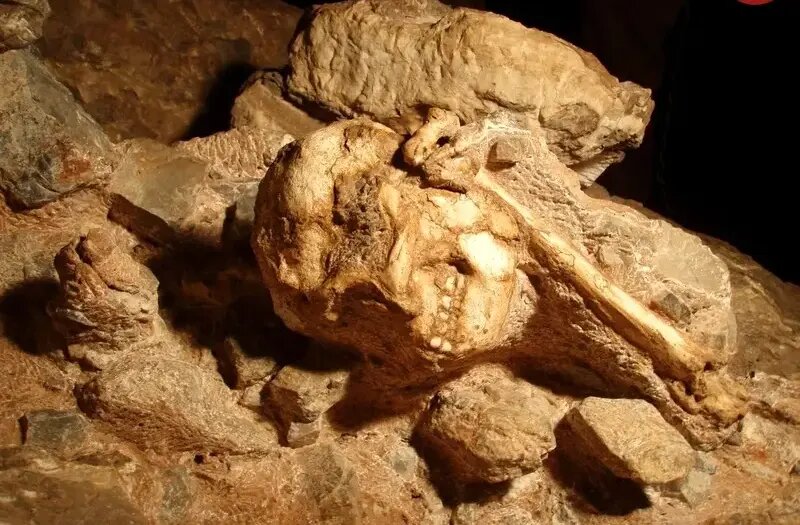 خویشاوند ۳ میلیون سالۀ انسان از دل سنگ بیرون آمد | عکس