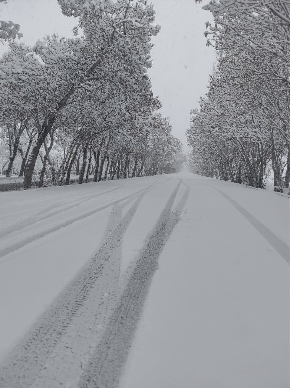 قابی زیبا از اولین برف پاییزی در قروه کردستان | عکس