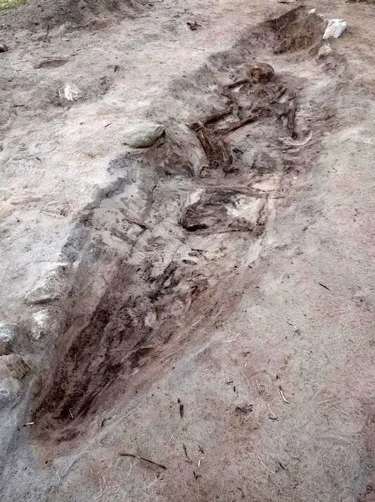 این زن و سگش در قایق دفن شده بودند + عکس | مقبرۀ ۱۱۰۰ سالۀ شگفت‌انگیز را ببینید