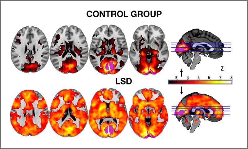 چطور مغزمان را از گذشته رها کنیم و آیندهای تازه بسازیم؟