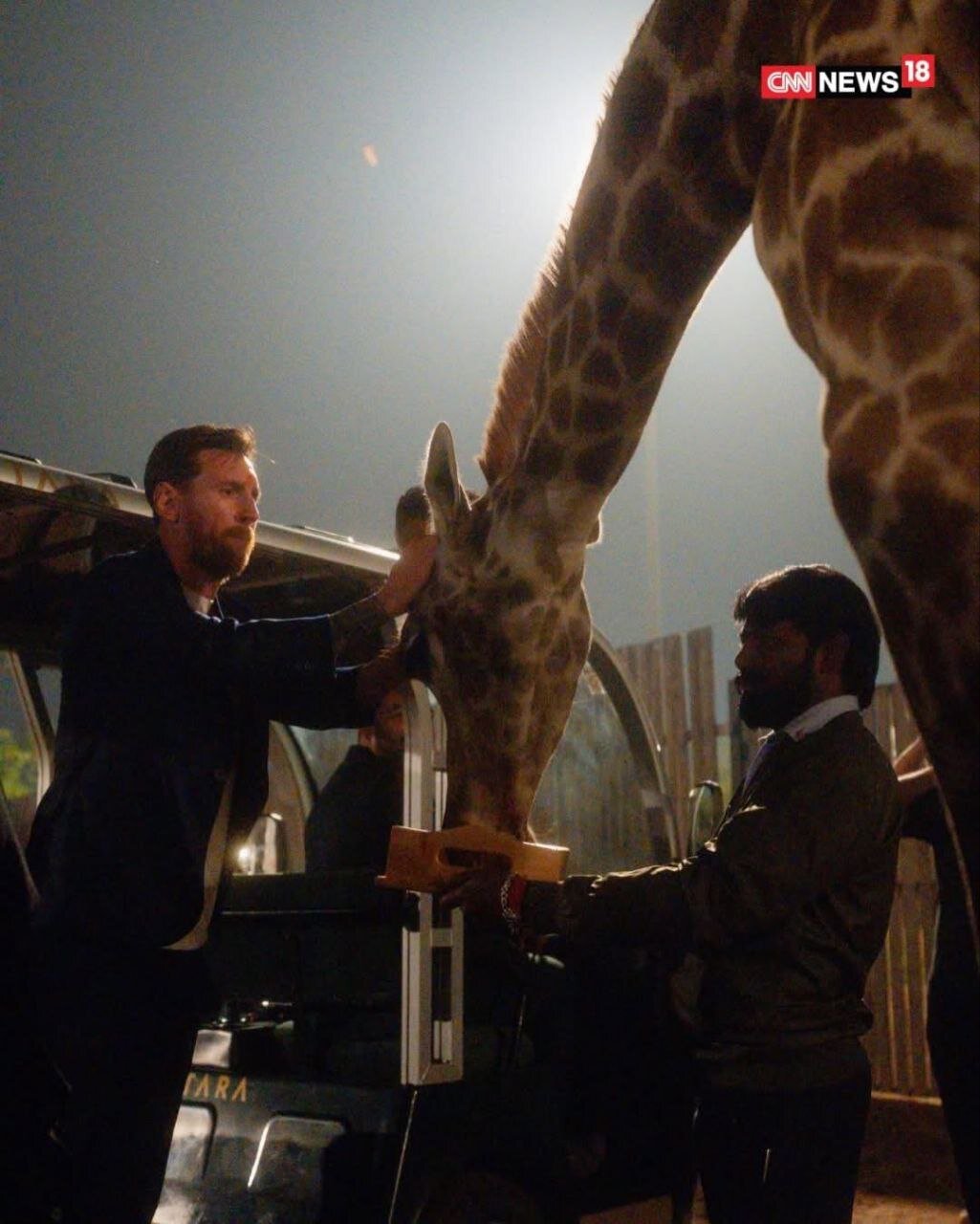 غذا دادن مسی به زرافه ها در هند | تصاویر