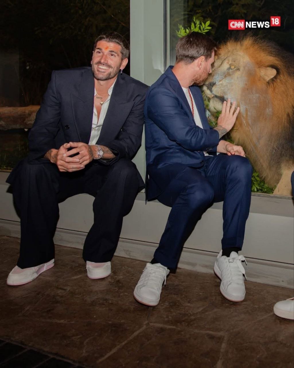 غذا دادن مسی به زرافه ها در هند | تصاویر