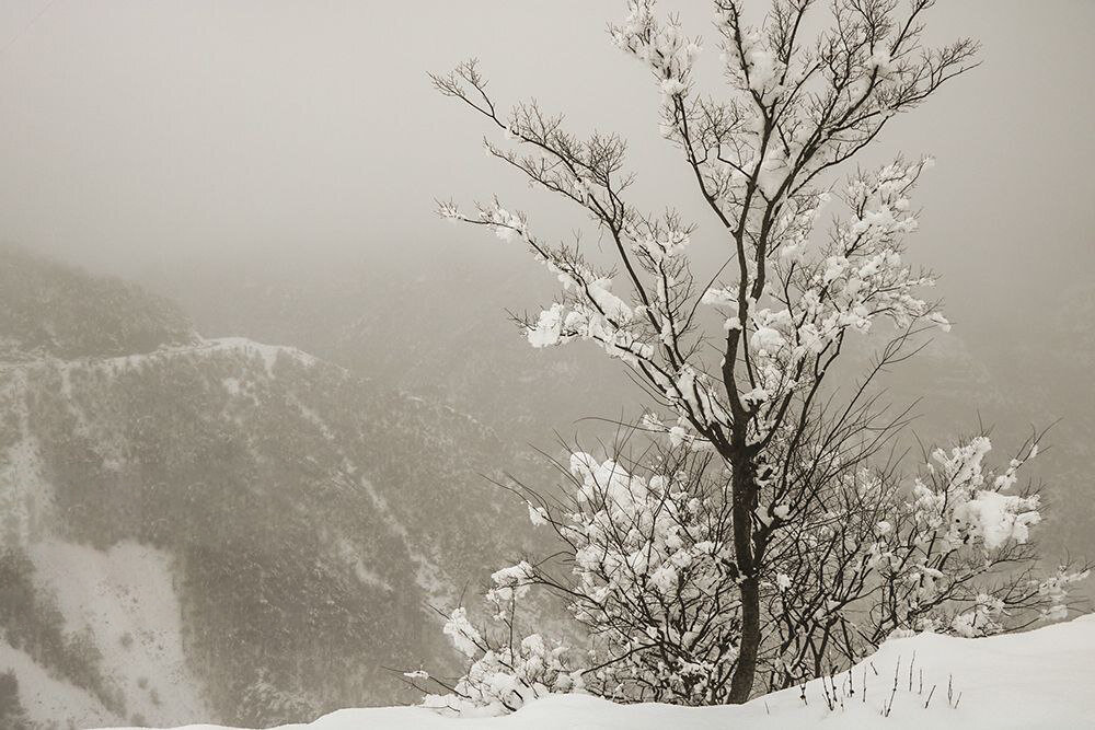  ارتفاع برف در اردبیل به نیم متر رسید | ببینید