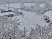 بارش مداوم ۱۰ ساعته برف در این منطقه؛ بلاگرها فیلم و عکس بارندگی‌ها را به شکل بی‌سابقه‌ای منتشر می‌کنند!