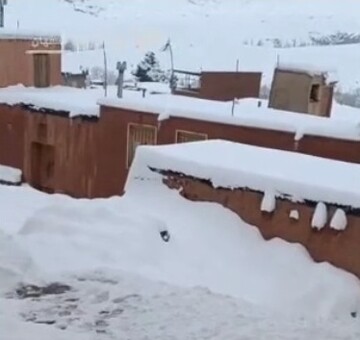 ذوق‌زدگی دوست داشتنی پیرزن ابیانه‌ای پس از دیدن حجم برف در روستایشان