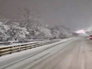 سقوط درخت‌ها زیر بار سنگین برف؛ هوای برفی شهر را ببینید