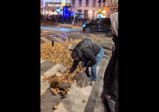 سنگفرش این خیابان از سیب زمینی است! + ویدئو | جزئیات ماجرا