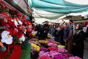 بازار گل در آستانه شب یلدا