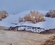 غوغای برف و سیلاب همزمان در این نقطه از ایران؛ کمیاب‌ترین پدیده بارش‌ها در کشور اتفاق افتاد