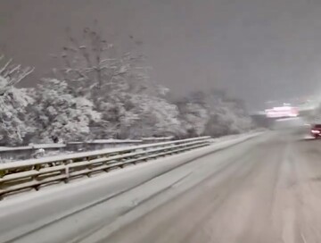 سقوط درخت‌ها زیر بار سنگین برف؛ هوای برفی شهر را ببینید