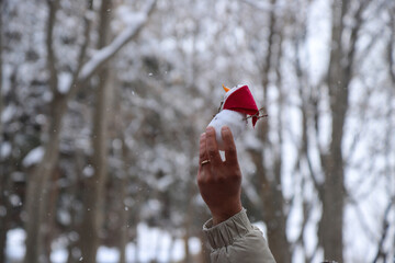 به جای قطب به این منطقه سفر کنید | تجربه منفی ۳۰ درجه در ایران