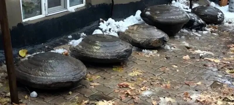 راز شش سنگ‌ با شکل‌های غیرعادی چیست؟ | عکس