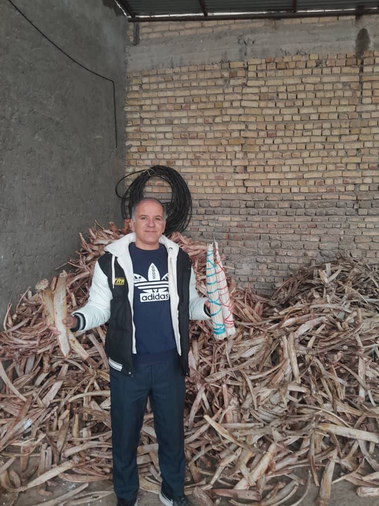 هنرنمایی با دنده گاو