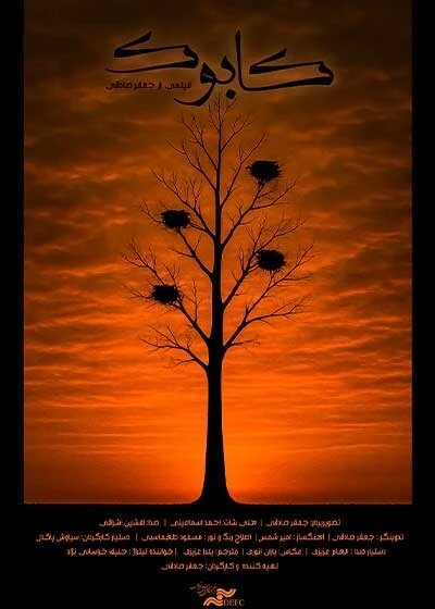 فیلم‌های جشنواره سینما حقیقت روی میز نقد