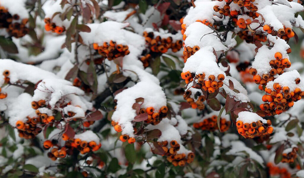 پالتوی برفی بر تن ایران