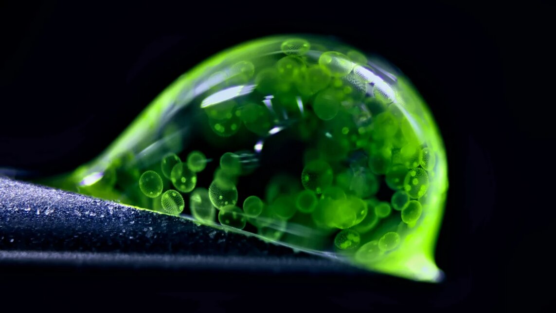 قاب‌هایی شگفت‌انگیز از دنیای نادیدنی‌ها