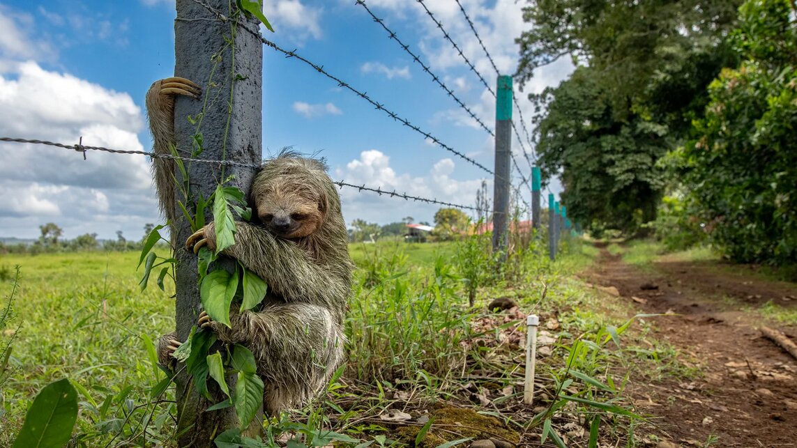 قاب‌هایی شگفت‌انگیز از دنیای نادیدنی‌ها