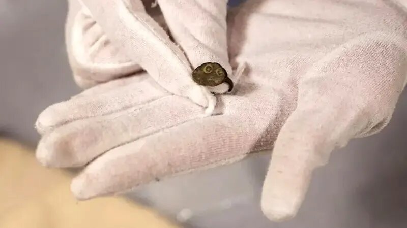 5291081.jpg?ts=1766294585000