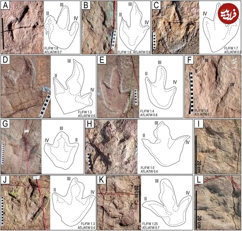 ببینید؛ ۱۶ هزار ردّپا از دایناسورهایی که ۶۶ میلیون سال قبل در اینجا میدویدند!