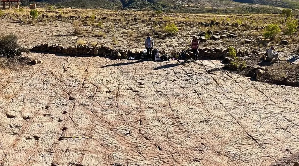 ردپای دایناسورها