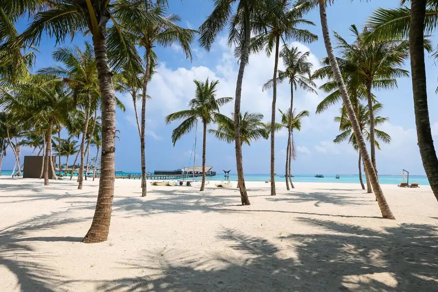 ساحل نارگیل کیش کجاست؟