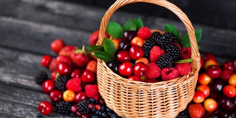 خوراکیهایی برای افزایش ایمنی بدن در زمستان