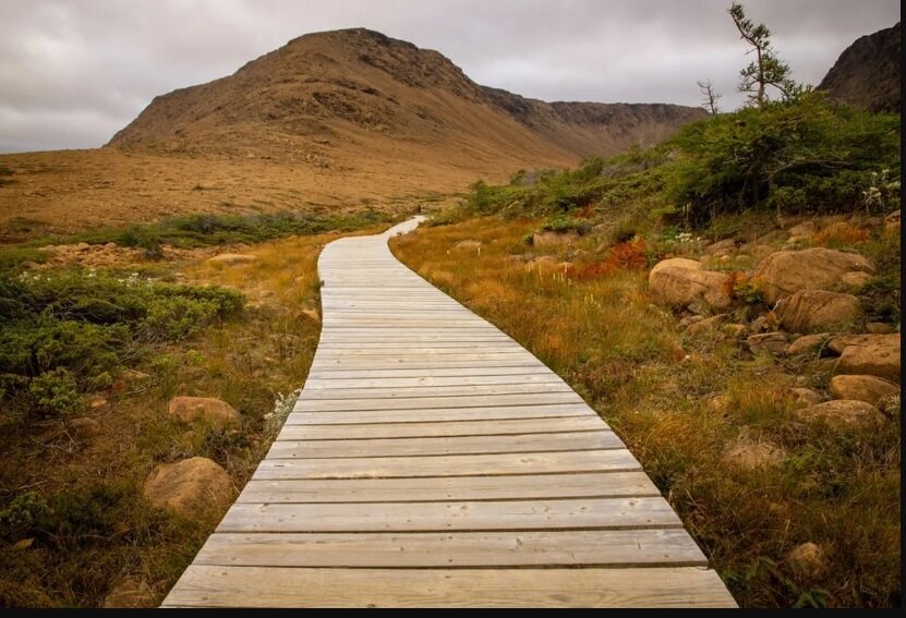 معمای جزیره‌ای که از اعماق اقیانوس به بیرون پرتاب شد!