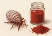 تهیه رنگ قرمز محصولات غذایی در ایران از نوعی حشرات | واکنش مقام ارشد سازمان غذا و دارو