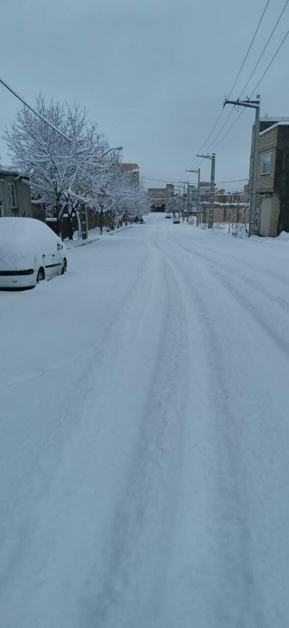 نخستین برف زمستانی این شهر را پوشاند؛ حجم برف را ببینید | تصاویر